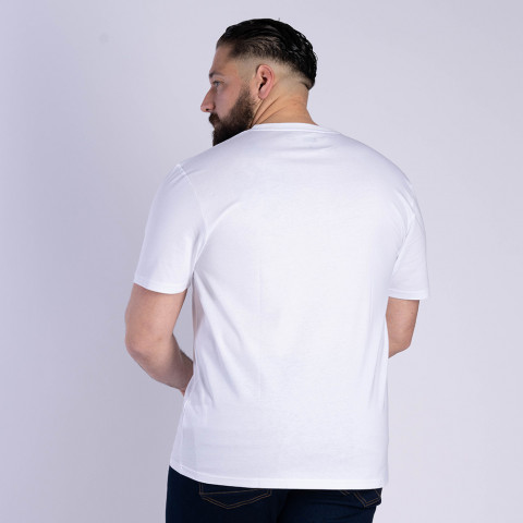 T-shirt à manches courtes RUCKFIELD X ASTERIX blanc