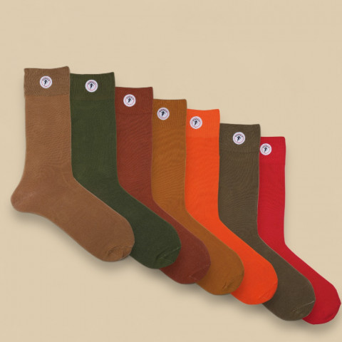 Semainier 7 chaussettes Ruckfield couleurs hivernales