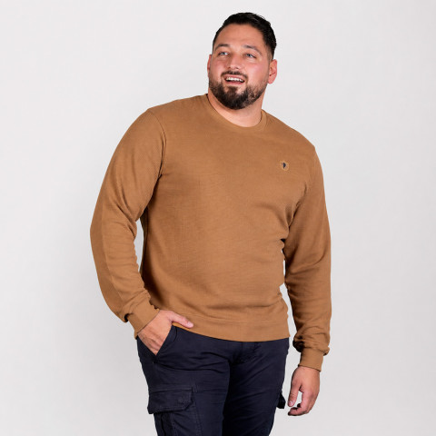 Pull léger col rond Ruckfield beige foncé - GOTS