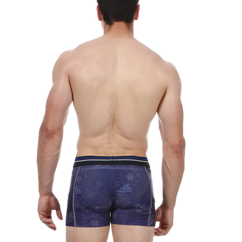 Boxer tropical rugby
