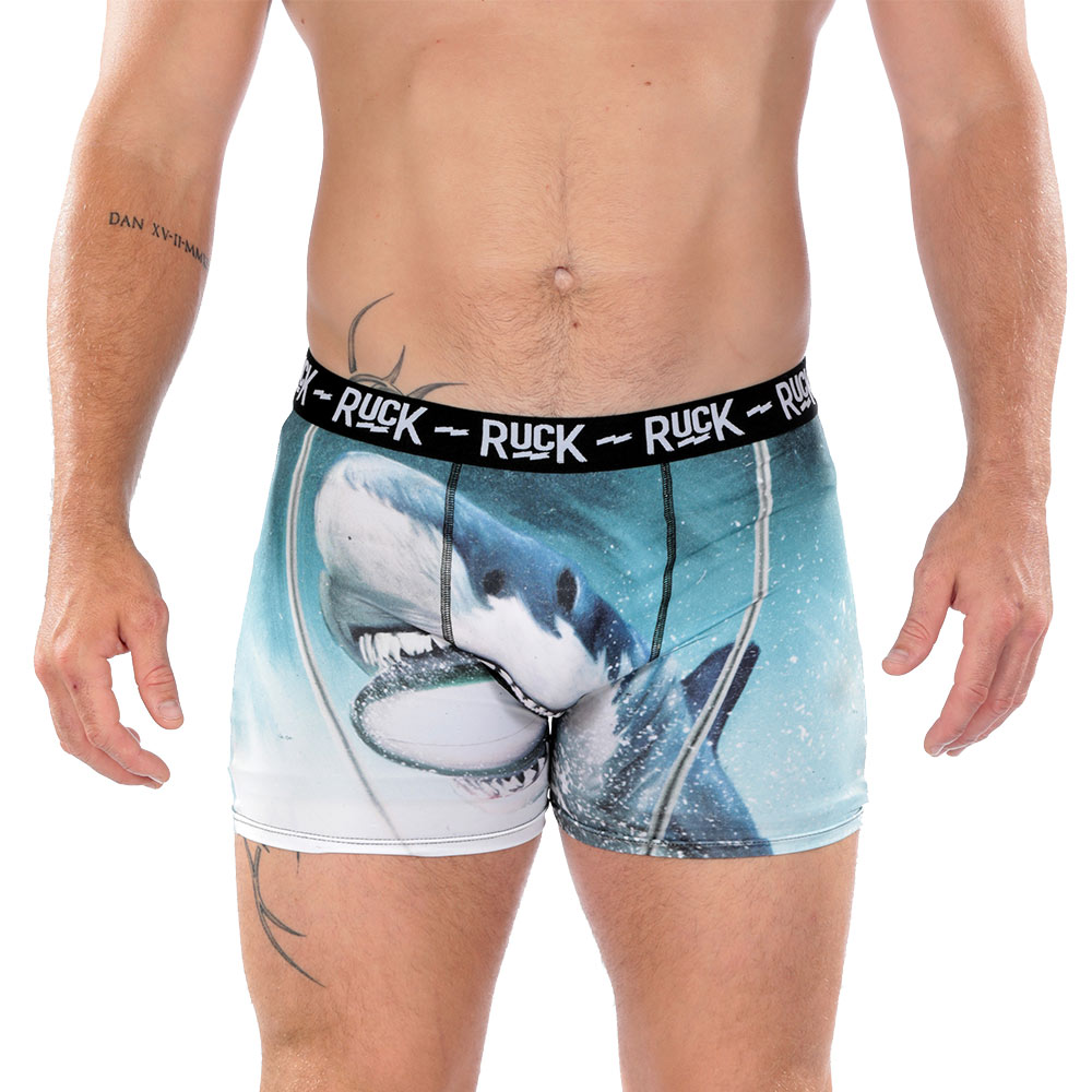 Boxer Requin